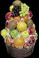 fruit (20)